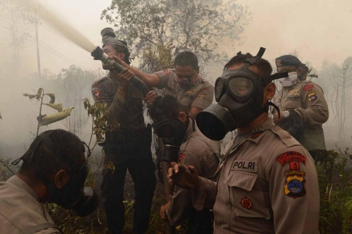 Aksi Jokowi terus pantau pemadaman lahan gambut di Kalimantan
