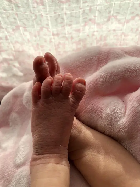 (Instagram/behatiprinsloo)