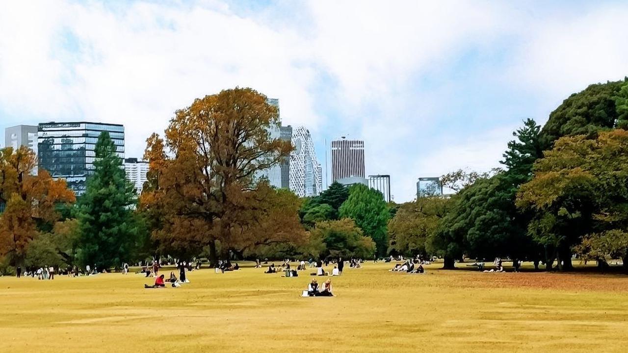 2. Sejarah Singkat Shinjuku Gyoen