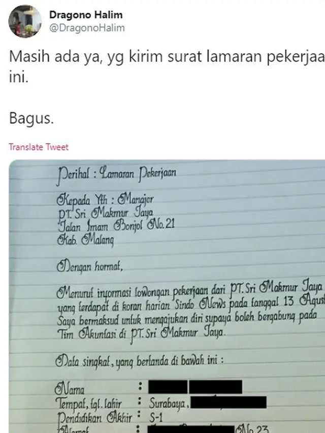 lamaran kerja viral