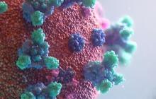 Jenis Virus yang dapat Menyerang Manusia, Picu Dampak Ringan hingga Berbahaya