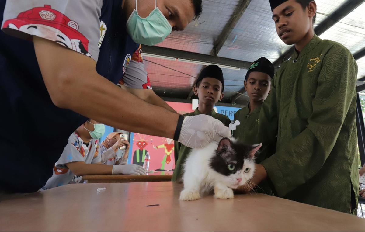 FOTO: Cegah Rabies, Pemkot Jaksel Gelar Vaksinasi Gratis untuk Hewan Peliharaan
