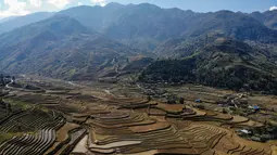 Foto udara ini menunjukkan sawah terasering di provinsi Yen Bai, Vietnam pada 29 November 2021. Sawah sangat indah pada bulan September dan Oktober, ketika tanaman berubah menjadi kuning mengkilap. (Nhac NGUYEN / AFP)