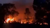 Kebakaran lahan terjadi di Bangka Belitung, hingga Gunung Sinabung kembali mengalami erupsi dengan menyemburkan abu vulkanik.