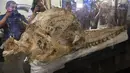 Awka media mencatat pengungkapan fosil paus sperma prasejarah "diawetkan utuh selama tujuh juta tahun", selama presentasi yang disebut "Makro- Raptor Sperm Whale of Ocucaje", di National Natural History di Lima, Peru, Rabu (15/2/2023). Fosil tersebut, dengan panjang sekitar 1,30 meter, sesuai dengan orang dewasa “ditandai dengan adanya gigi fungsional di rahang atas dan rahang bawah. (Cris BOURONCLE / AFP)