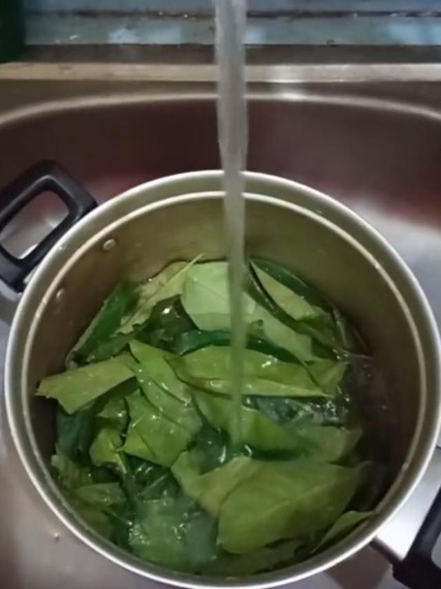 Tanpa Dijemur, Begini Cara Simpan Daun Salam Supaya Tidak Berubah Warna dan Tetap Wangi Sampai 2 Minggu