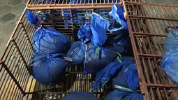 Puluhan trenggiling berada di dalam karung setelah diselamatkan dari perdagangan liar di provinsi Ha Tinh, Vietnam (30/7/2019). Trenggiling di Vietnam merupakan mamalia yang terancam punah dan sangat berharga. (AFP Photo/Save Vietnam's Wildlife)