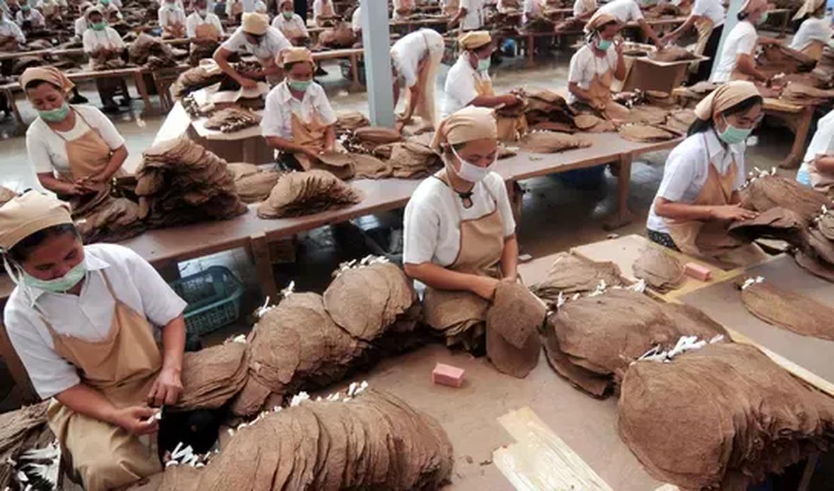 Ekonom, Vid Adrison menilai penurunan produksi pada golongan I terjadi karena turunnya permintaan pasar di golongan I.