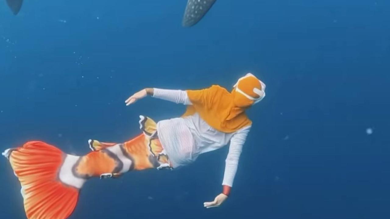Keren! 10 Momen Menegangkan Ria Ricis Berenang Bareng Hiu Paus, Oki Setiana Dewi 'Ikannya Ga Makan Daging Orang Kan?