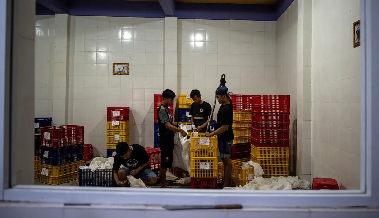 Pekerja memasukkan ular hidup dalam peti di salah satu perusahaan eksportir ular di Surabaya, 13 Februari 2019. Ular-ular tersebut diekspor secara legal untuk memenuhi kebutuhan menu masakan di Guangzhou, China. (Juni Kriswanto/AFP)