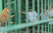 Menteri Kehutanan Terkesan Konservasi Satwa BN Zoo Bangka, Beri Dampak Positif UMKM