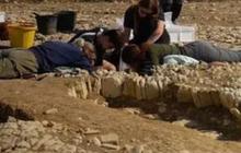 70 Makam Misterius Ditemukan di Halaman Kastil, Bikin Arkeolog Garuk-Garuk Kepala