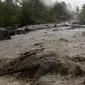 Banjir akibat terjangan Topan Hagupit di Filipina. (Reuters)