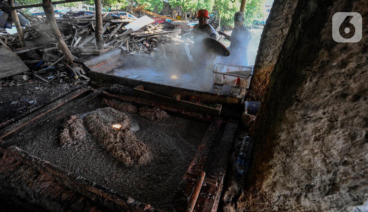 Nantinya rebon-rebon ini dipasarkan hingga ke Medan, kota-kota di Kalimantan dan Sulawesi. (merdeka.com/Arie Basuki)