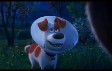 Kenali Pengisi Suara Film The Secret Life of Pets 2 di Vidio, Hadirkan Petualangan Hewan Peliharaan