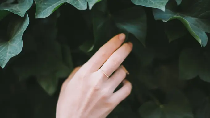 Les Mains Hermes, 6 Tahap Mempercantik Kuku dan Jemari Tangan dengan Sisipan Perawatan Praktis