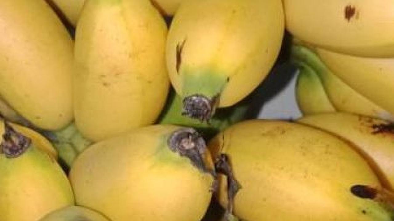 3. Pisang Mas