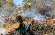 350 Hektare Hutan di Kaki Bukit Senubut Lahat Terbakar