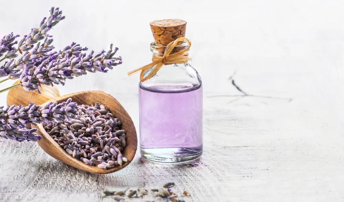 Essence Oil untuk Menyamarkan Bau Tak Sedap Tersebut