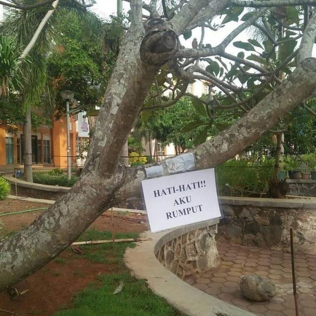 6 Pengumuman Nyeleneh Ini Ditempel di Pohon, Bikin Geleng Kepala