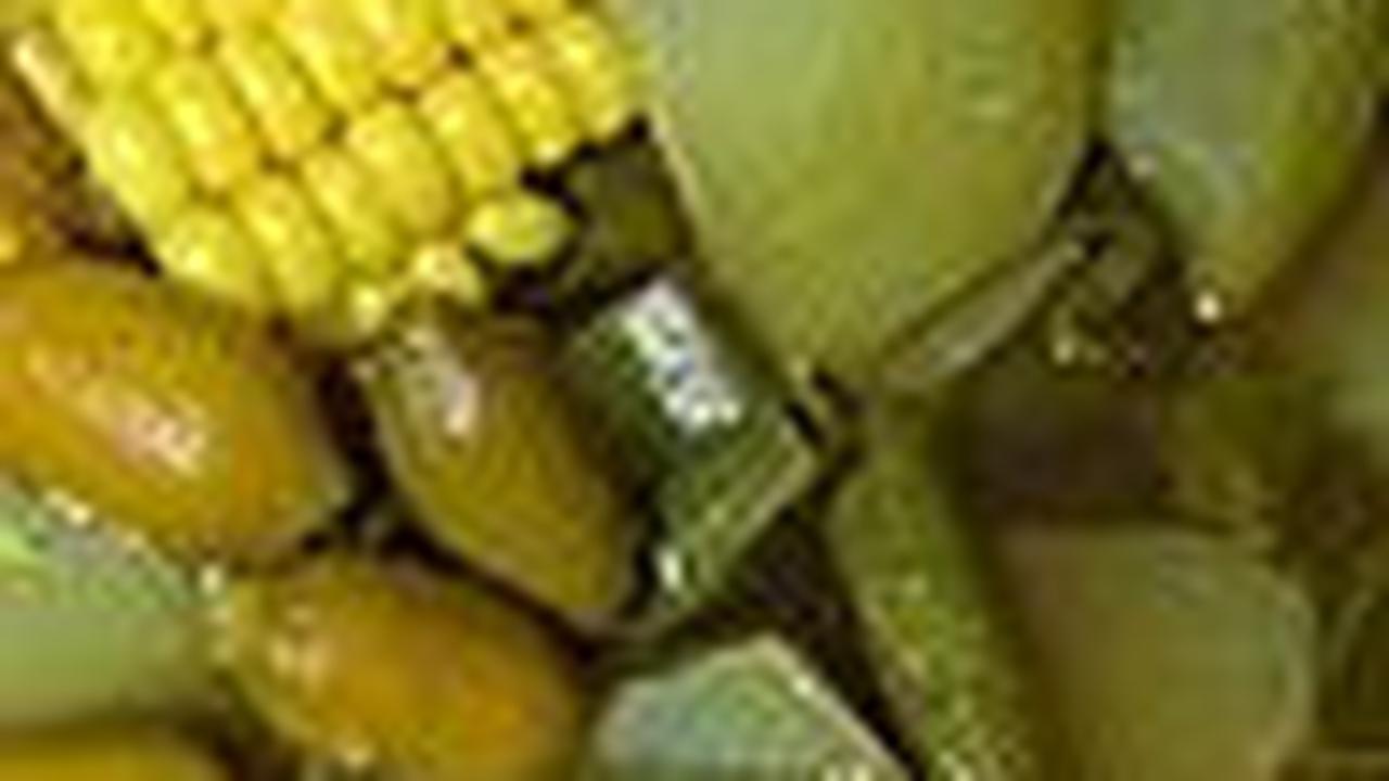 Resep Sayur Asem yang Enak dan Lezat, Mudah Dibuat