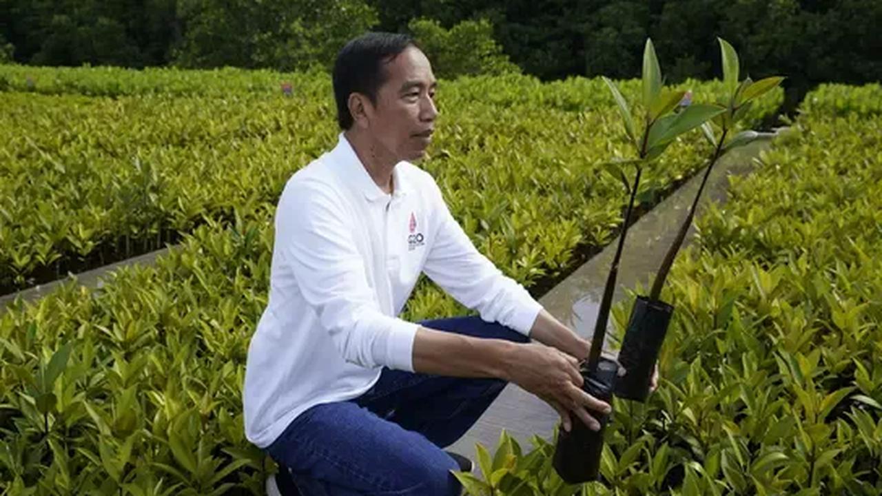 Presiden Joko Widodo (Jokowi) menghadiri Rapat Pimpinan Nasional (Rapimnas) relawan Jaringan Kemandirian Nasional (JAMAN) di Cirebon, Jawa Barat.