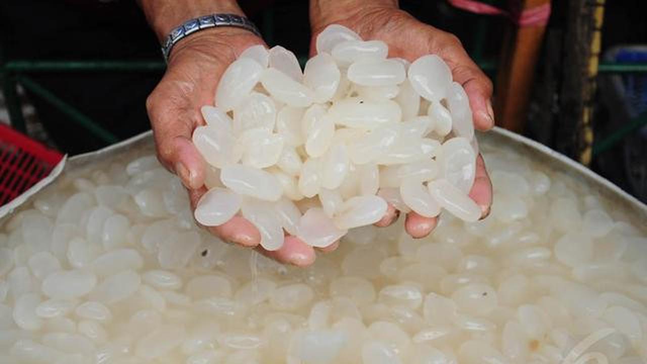 Resep Manisan Kolang Kaling Low Sugar, Tekstur Empuk dan Kenyal