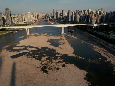 Foto udara memperlihatkan kondisi Sungai Jialing, anak Sungai Yangtze, di Kota Chongqing, China, Rabu (24/8/2022). Kekeringan yang memecahkan rekor telah menyebabkan beberapa sungai di China - termasuk bagian dari Yangtze - mengering. (Noel Celis/AFP)