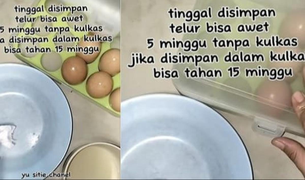 <b>Masukkan Telur ke Wadah Kering</b>