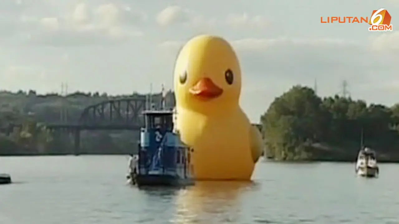 bebek-raksasa-130929b.jpg