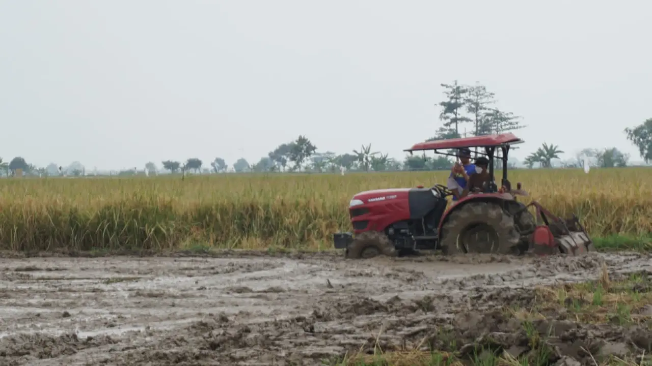 Realisasi KUR Pertanian di Lampung Tembus Rp4,078 Triliun