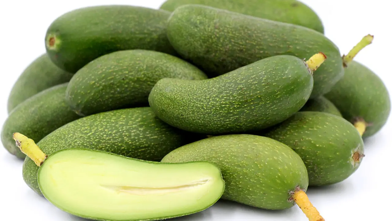 Disangka Mentimun, Buah Ini Ternyata Alpukat