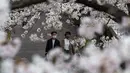 Pasangan yang mengenakan masker pelindung untuk membantu mengekang penyebaran virus corona berjalan di bawah pohon bunga sakura di Tokyo, Minggu (28/3/2021). (AP Photo/Kiichiro Sato)