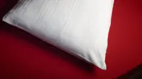 Ternyata kutu kasur bereaksi terhadap warna seprai pada tempat tidur Anda, penasaran seperti apa? Simak di sini.