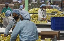 Penurunan Angka Pengangguran Indonesia: Analisis Data BPS November 2025 dan Tantangan Kualitas Pekerjaan