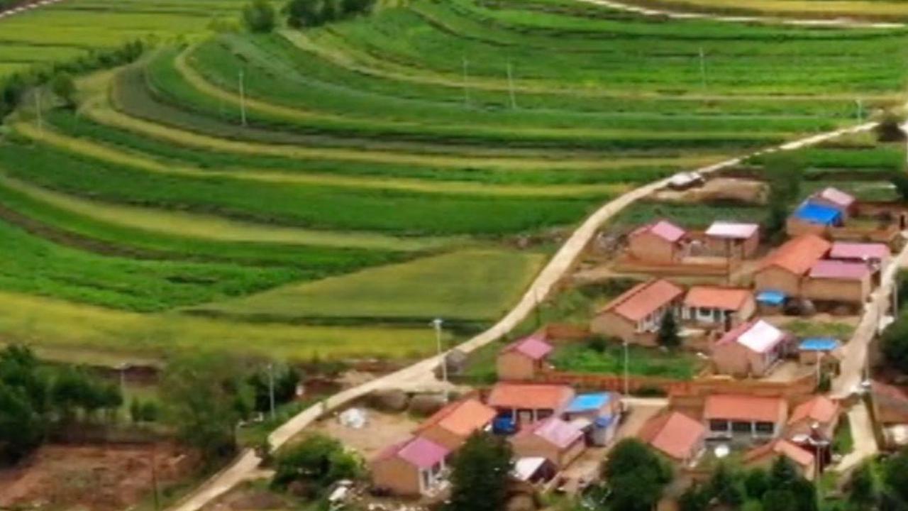 Misteri Gambar Ukiran Batu Berusia 8.000 Tahun yang Dianggap Asal-Usul Tulisan China