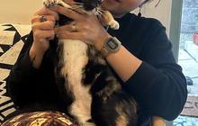 Punya Darah Musik dari Ibu, Simak Profil Penyanyi Danilla Riyadi