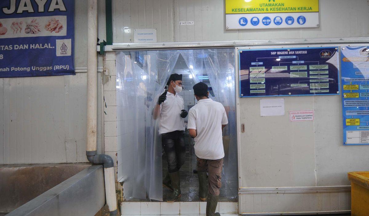 "Ayam atau ayam potong itu harus ada sertifikat halal, Oktober 2024 sih udah nggak tawar-tawar lagi untuk besok harus ada sertifikasi halal."