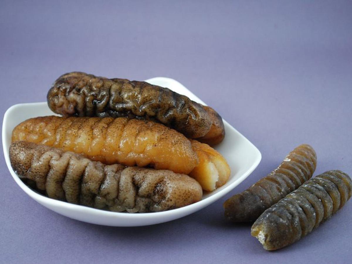 10 Manfaat Jelly Gamat untuk Kesehatan Tubuh, Atasi Berbagai ...