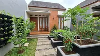 9 Tata Letak Kebun Buah Mini Agar Tidak Terlihat Sempit, Estetik untuk Pekarangan Kecil