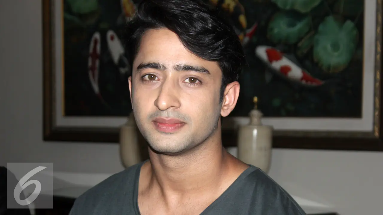 Shaheer Sheikh