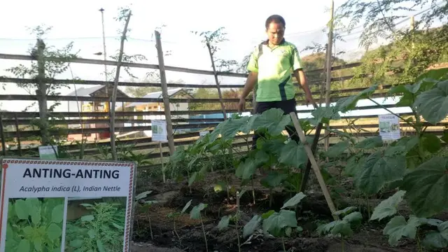 Pemanfaatan Tanaman Obat Keluarga