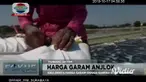 Di saat hasil panen garam melimpah, hampir bisa dipastikan apa yang dihasilkan oleh para petani akan berbading dengan harapan yang selama ini mereka inginkan. Seperti halnya petani garam di wilayah Kecamatan Palang Tuban.