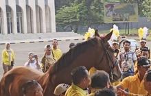 Momen Prabowo Berbatik Kuning Sambangi Markas Golkar, Dapat Kejutan Kuda Cokelat dari Airlangga