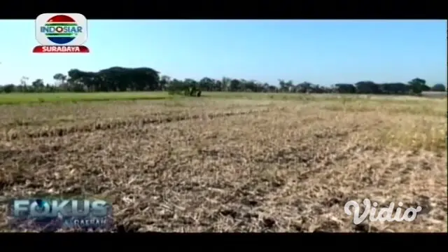 Sebuah sumur di ladang warga Dusun Pilang, Desa Ngompro, Kecamatan Pangkur, Kabupaten Ngawi, menyemburkan api. Api itu menyembur setinggi sekitar 50 sentimeter dari pipa paralon yang ditancapkan ke dasar sumur.