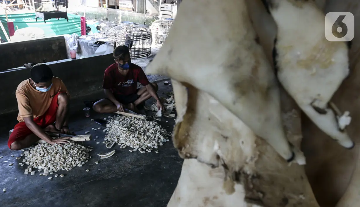 Pekerja memotong kulit sapi untuk dijadikan kerupuk di Kerupuk Kulit Bambang, Depok, Jawa Barat, Sabtu (28/8/2021). Pelaku usaha kerupuk kulit mengaku sejak Pemberlakuan Pembatasan Kegiatan Masyarakat (PPKM) produksi kerupuk kulit menurun hingga 60 persen. (Liputan6.com/Johan Tallo)
