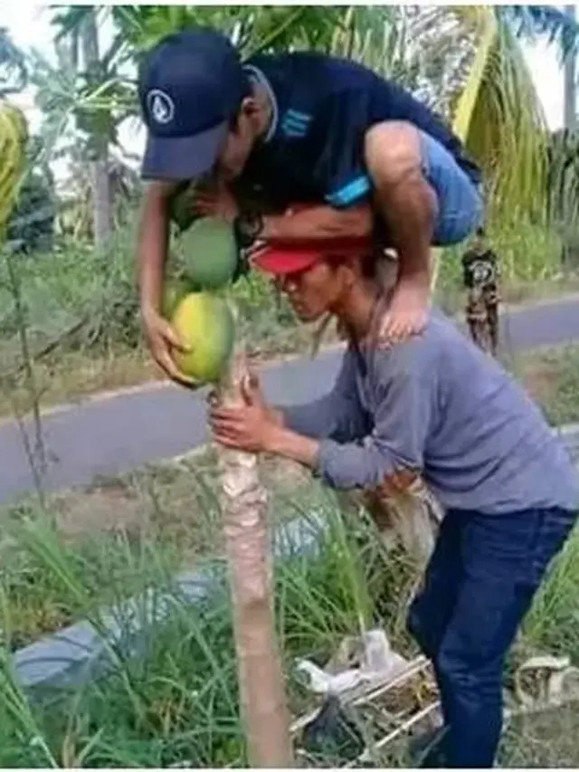 10 Potret Absurd Orang saat Bikin Susah Sendiri Ini Bikin Tepuk Jidat