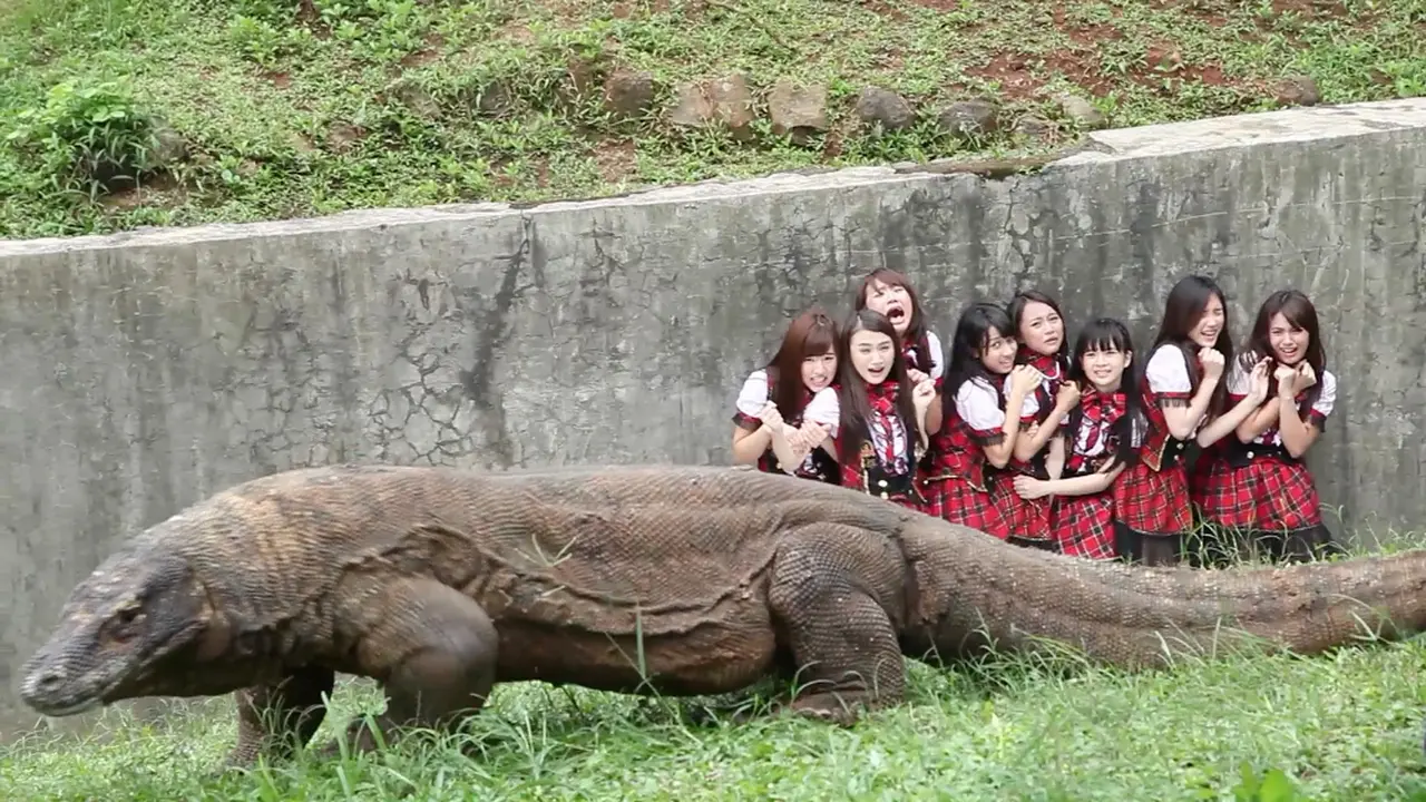 Empat Hari, Viva JKT48 Ditonton 18 Ribu