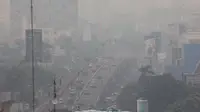 Kabut asap di Pekanbaru, Riau (Liputan6.com/ M Syukur)