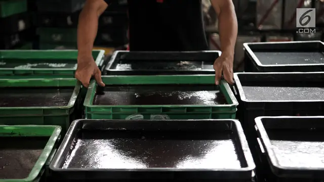 Permintaan Cincau Hitam Melonjak Tiga Kali Lipat